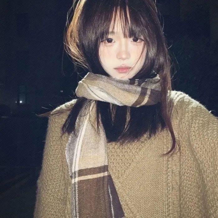 豺狼的日子2024